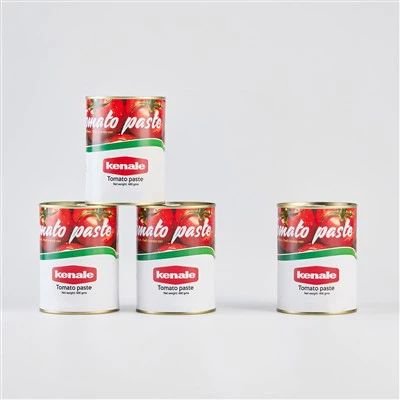Pasta Tomat 400 gr